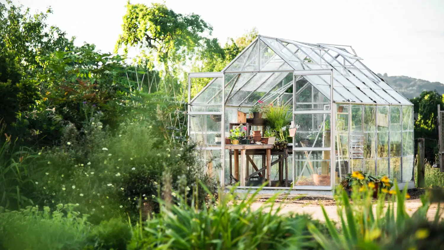 Best mini greenhouses: Grow fresh plants year-round