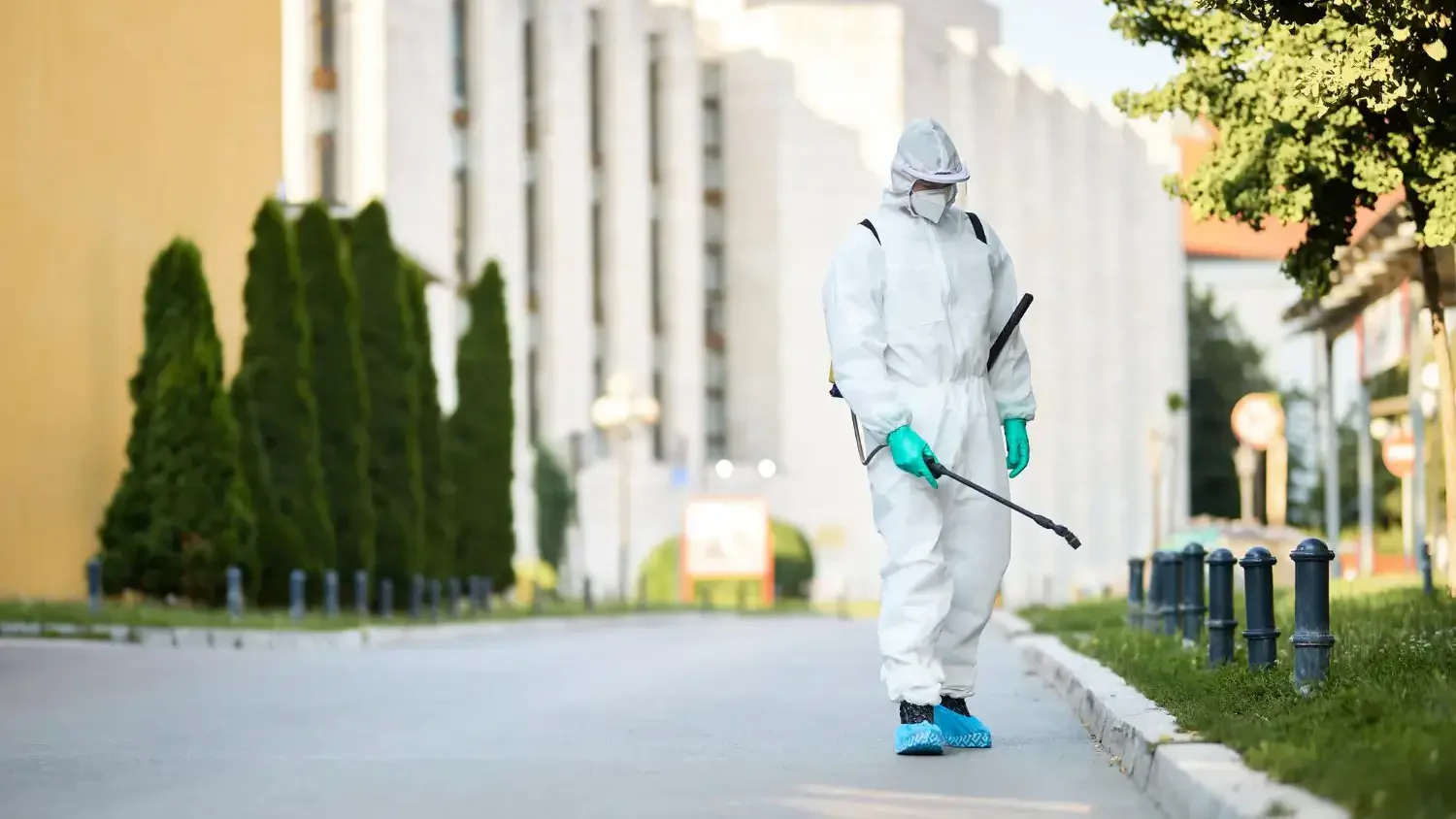 The best termite sprays for home protection: What really works