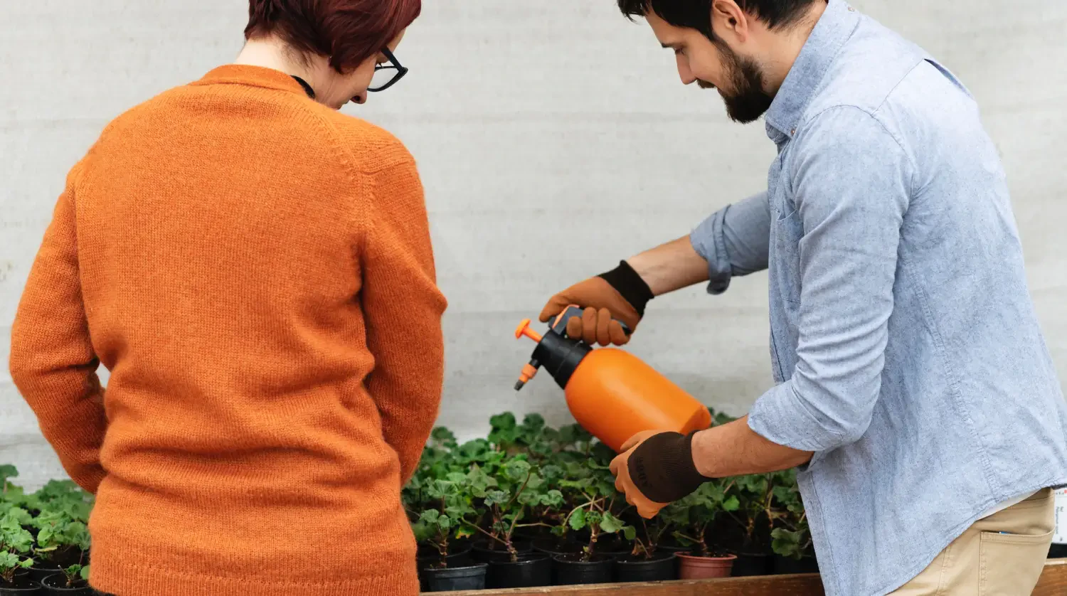 Best mosquito sprays for yard use: Keep bugs away all season