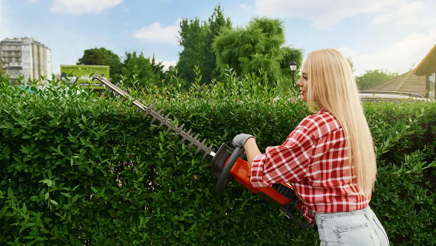 Best pole pruners for high branches: Trim trees with ease and safety
