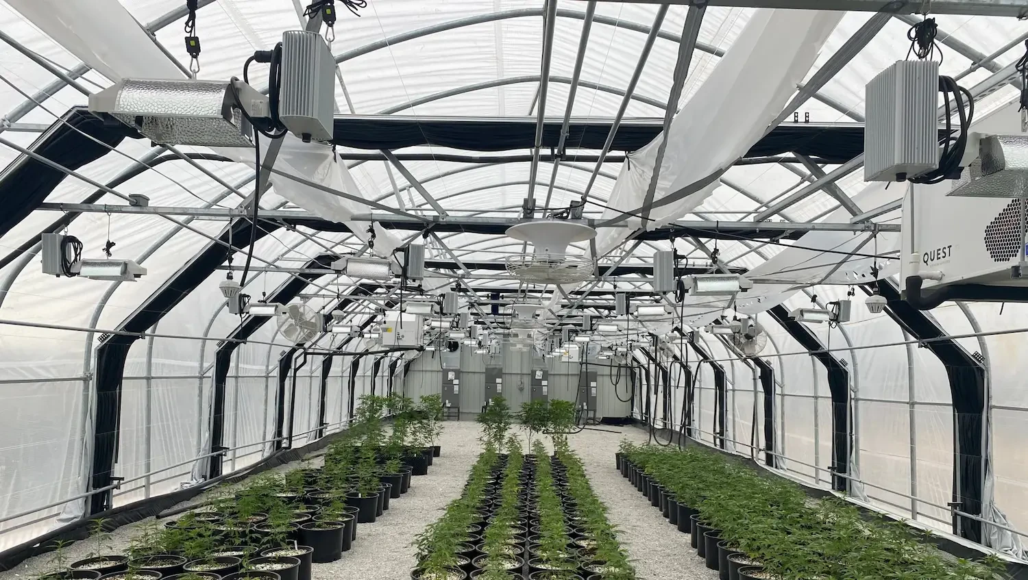 Best small dehumidifiers for agriculture: Boost crop storage and prevent mold
