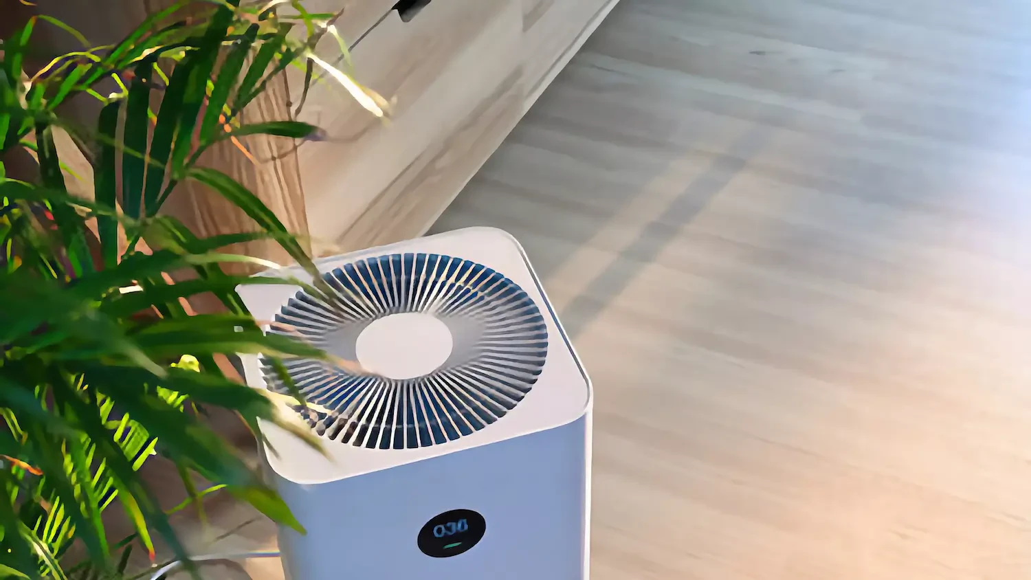 Best air purifiers for mold spores: Breathe cleaner, healthier air
