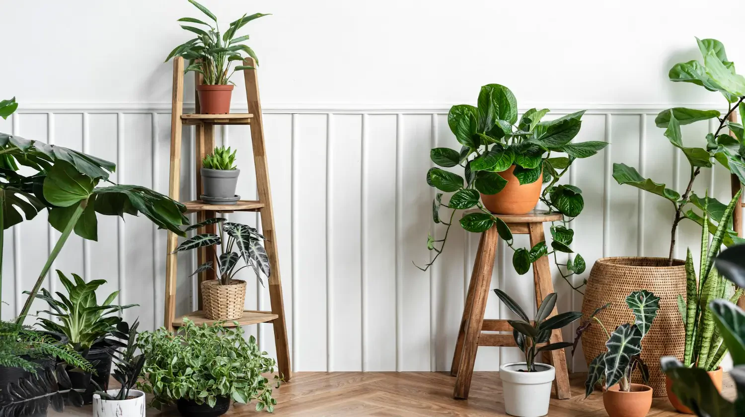 Best tall plant stands to elevate your indoor and outdoor greenery
