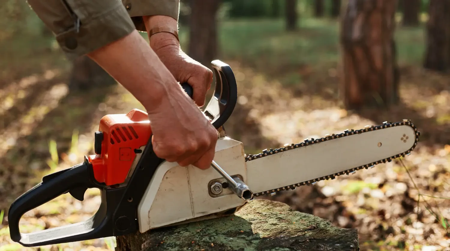 Best mini chainsaws for pruning and yard work: Lightweight, powerful, and safe