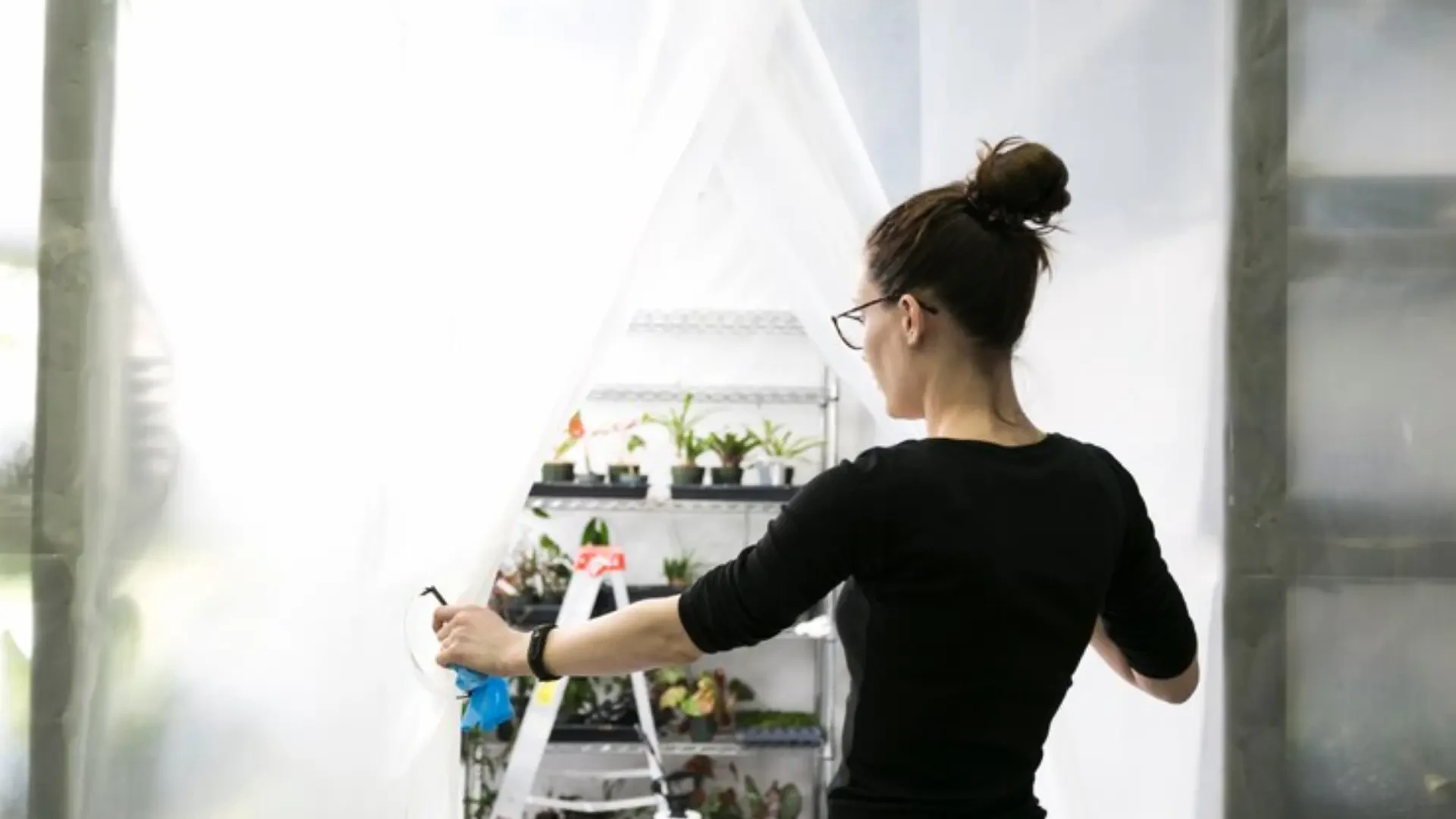 Improving grow room effectiveness with advanced climate, irrigation, and ventilation solutions