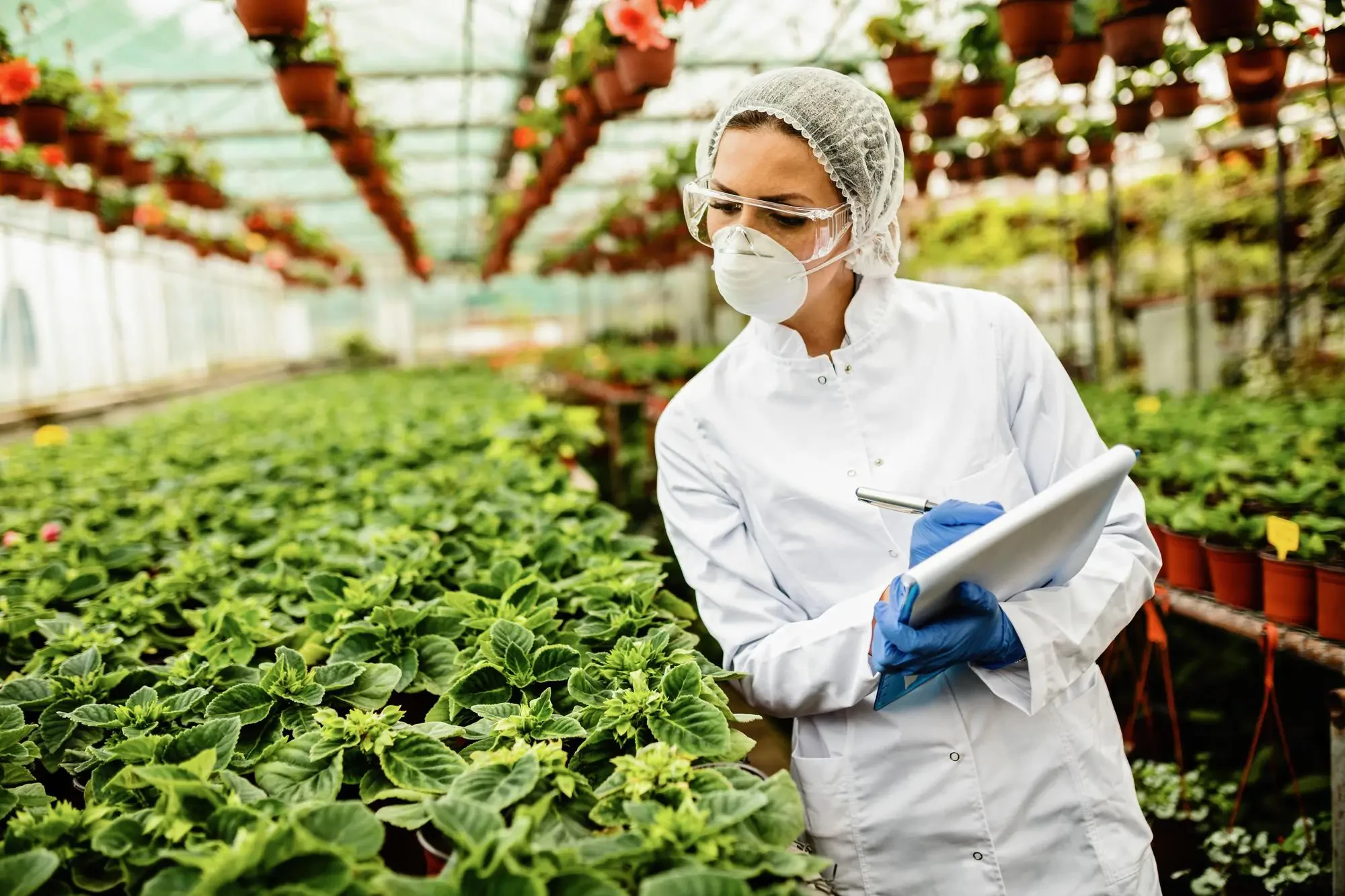 Integrated Pest Management