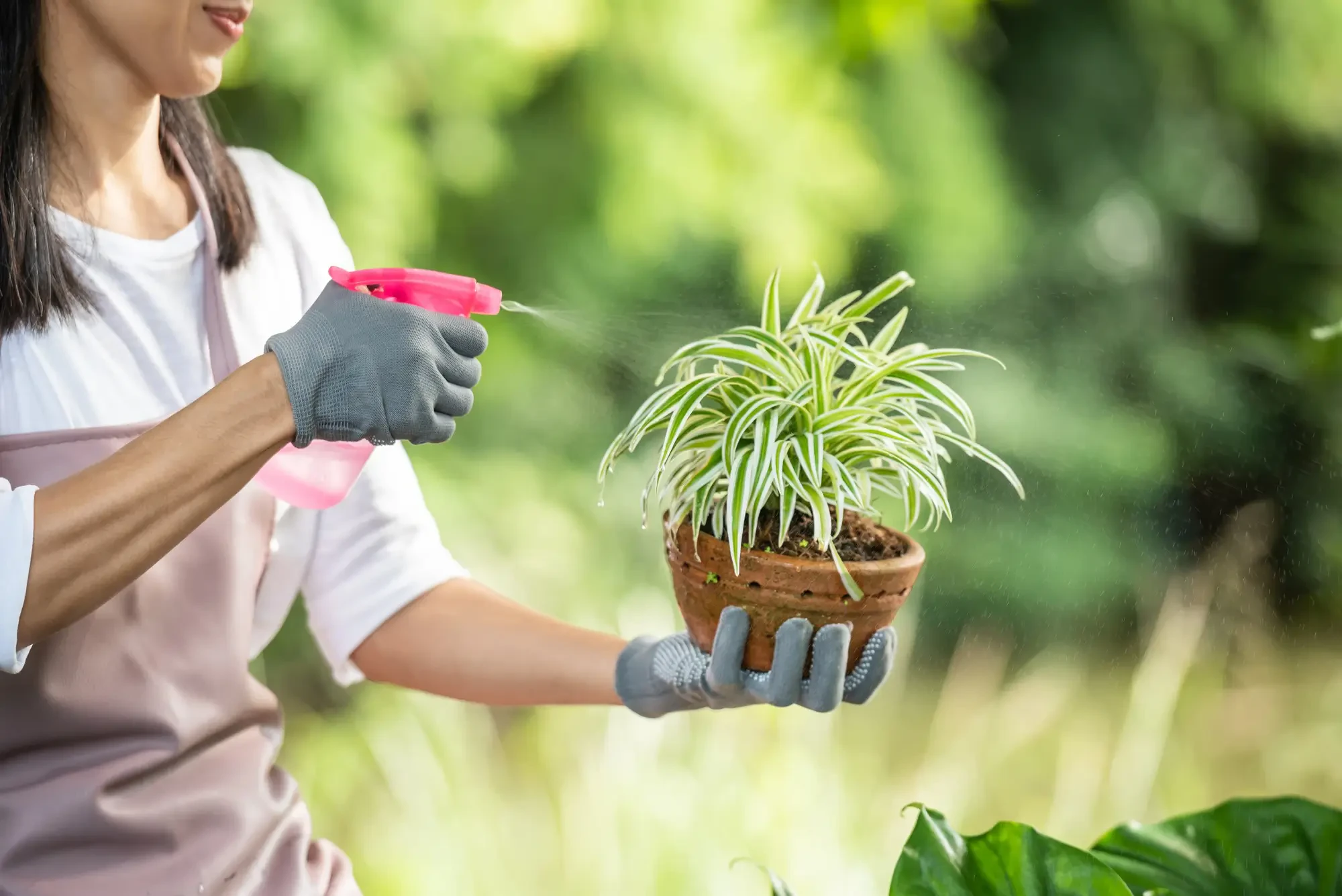 Organic & Natural Pest Solutions