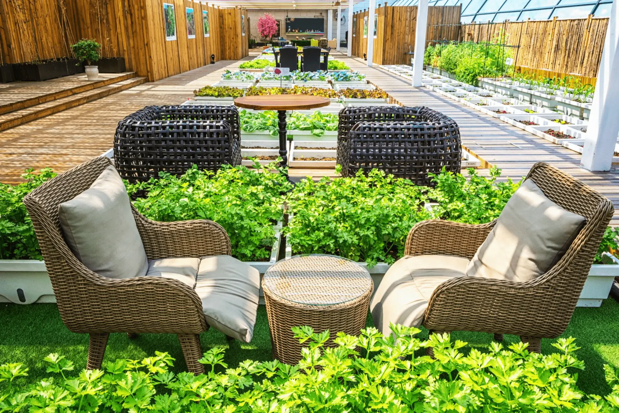 Outdoor Living