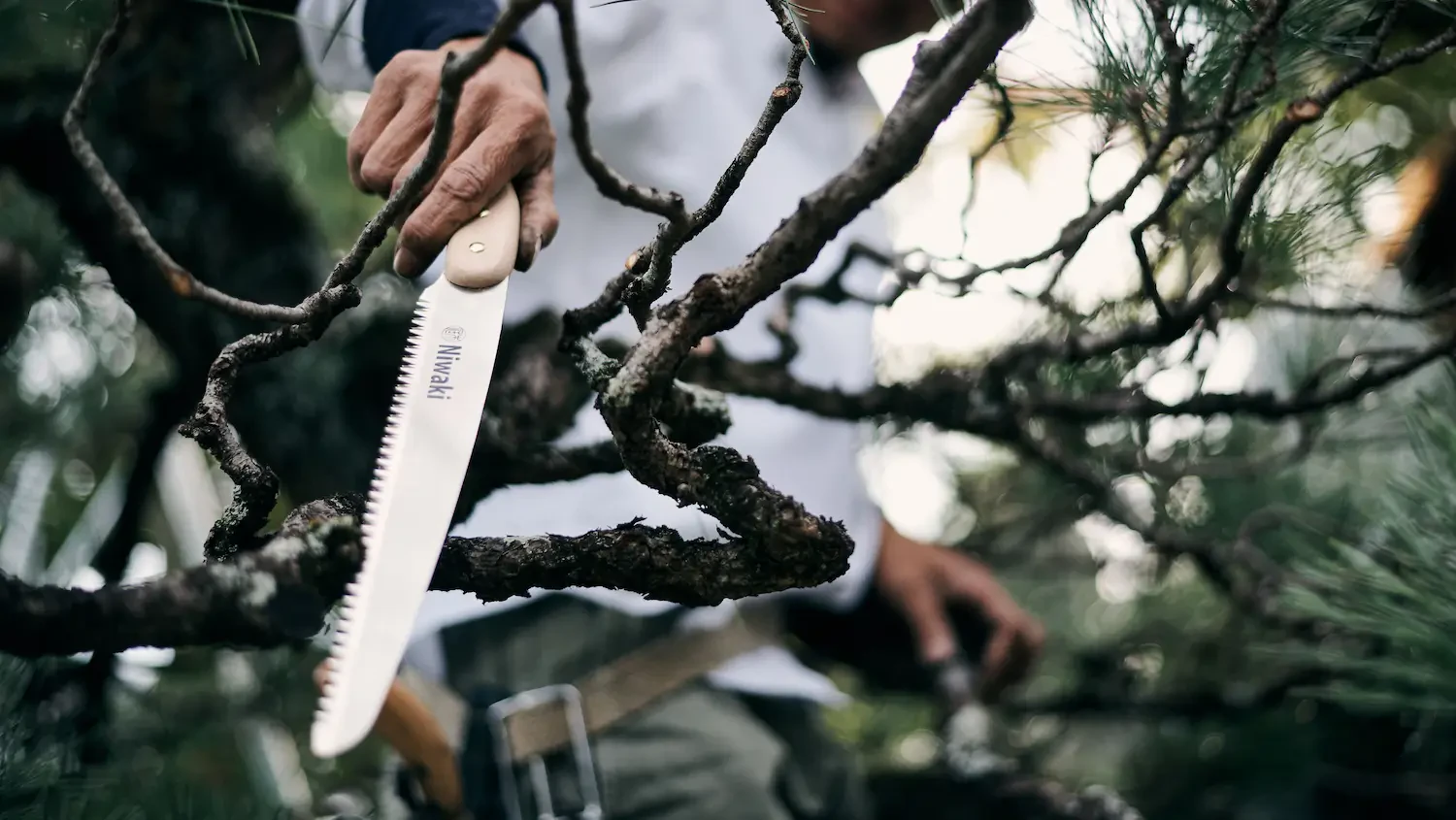 Best pruning saws for clean cuts on trees and shrubs