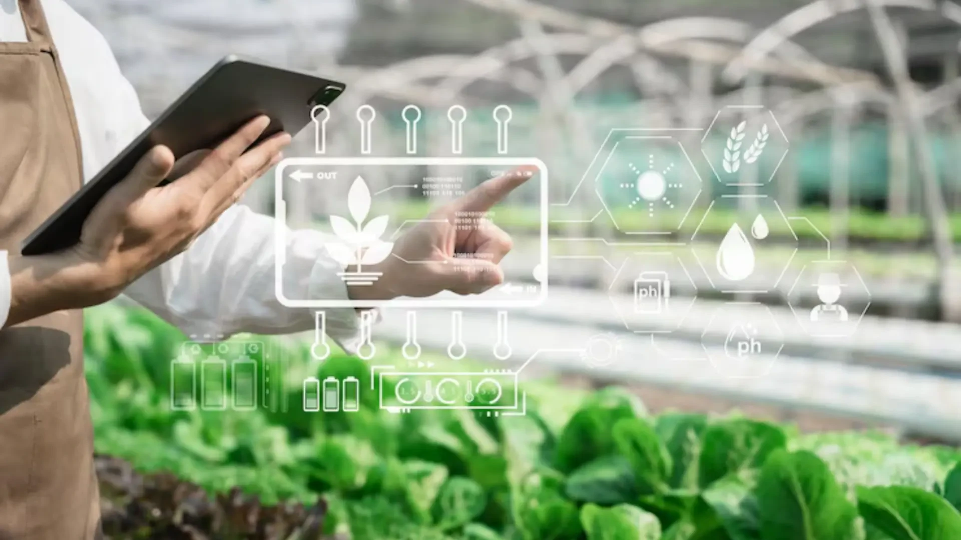 Advanced Agriculture Solutions for Precision Growing and Post-Harvest Management