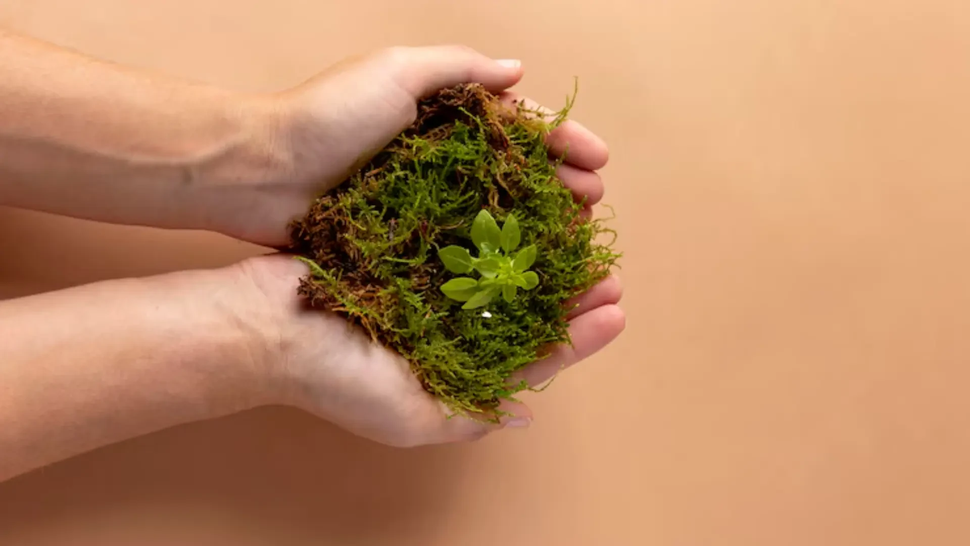 Clean Growing Environments: Air, Water, and Lab-Grade Purity