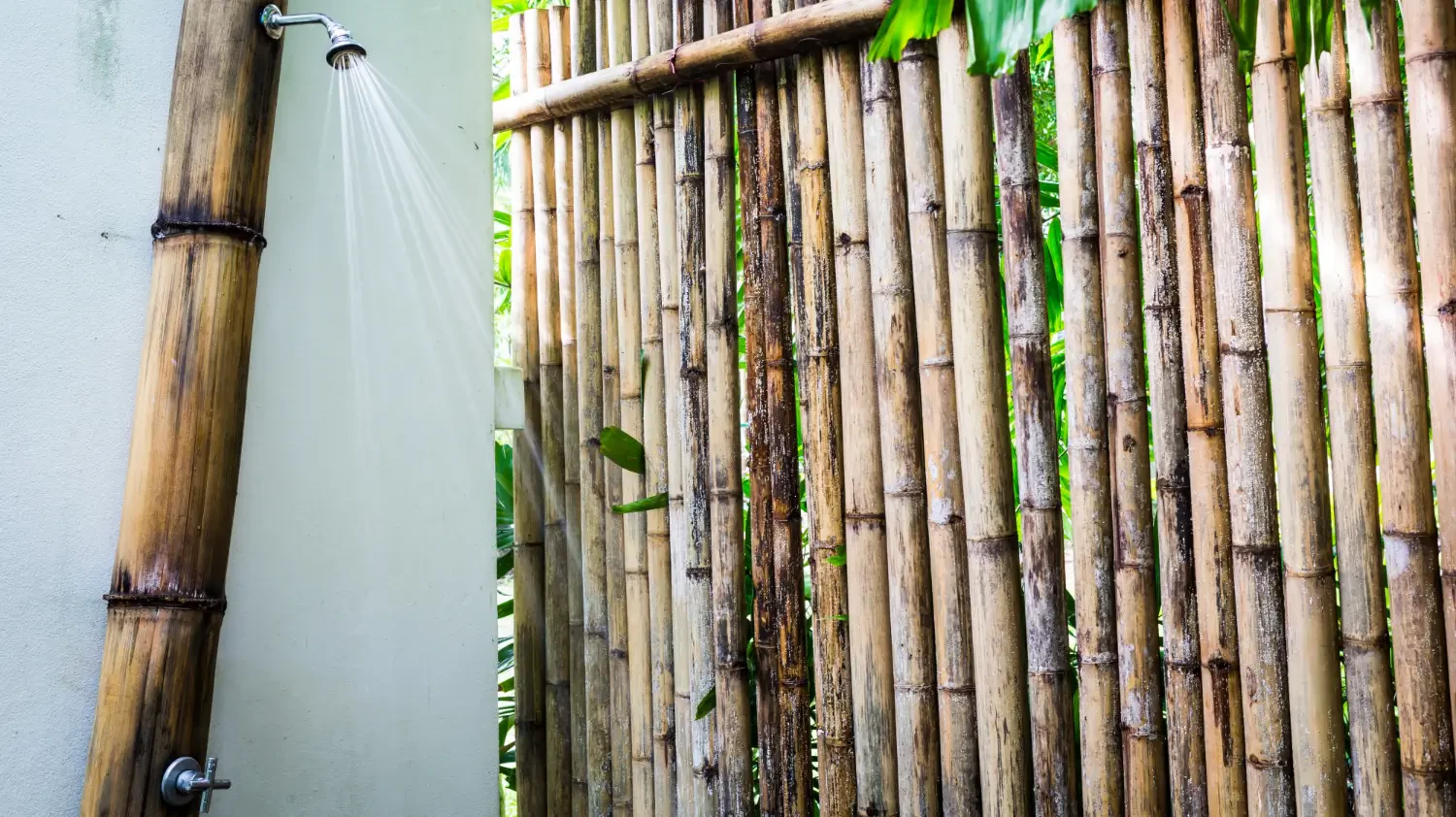 Smart ways to use bamboo sticks in gardening and landscaping
