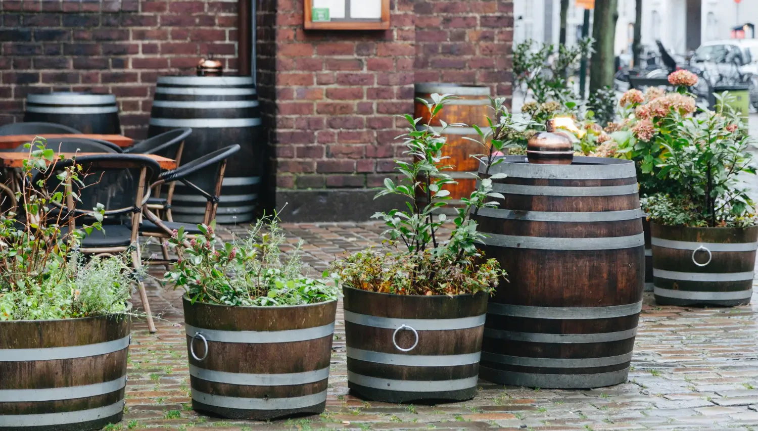How to turn a whiskey barrel into a beautiful planter: DIY garden charm