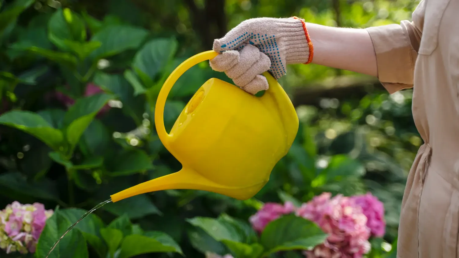 Best watering cans for indoor and outdoor plants: Stylish and practical picks