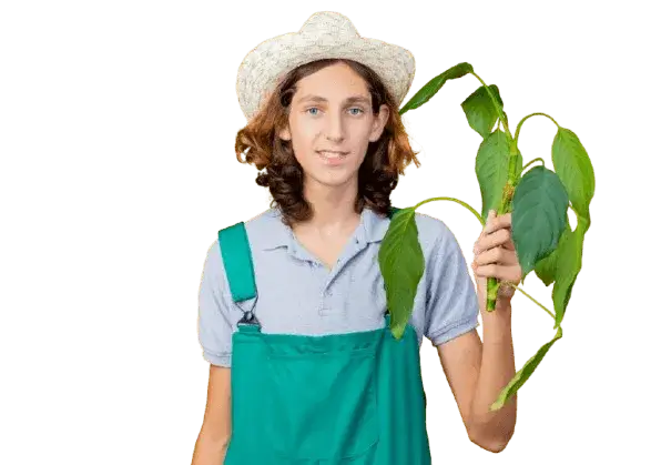 Plants